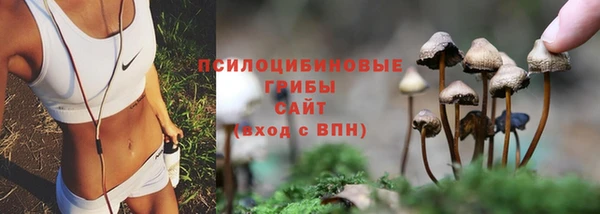 кокс Алексин