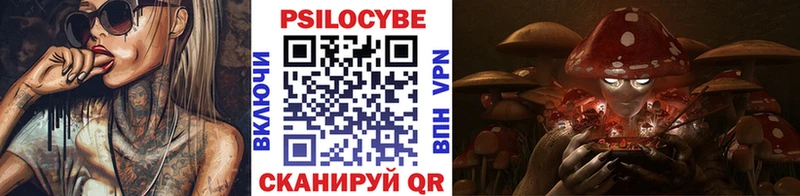 Псилоцибиновые грибы GOLDEN TEACHER  цена   Кудрово 