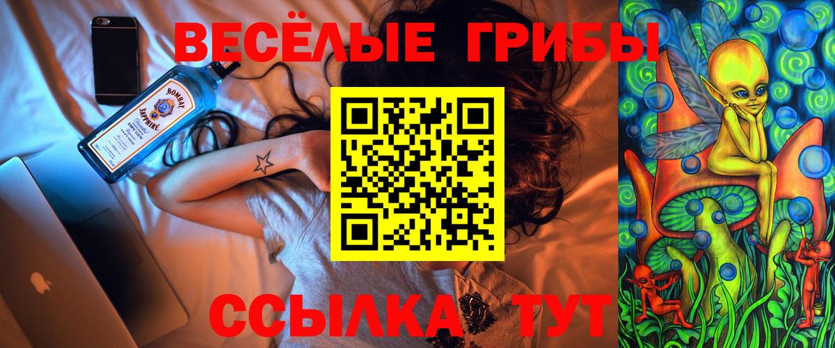Галлюциногенные грибы Cubensis  Галлюциногенные грибы Psilocybe  Вход с VPN  Кудрово 